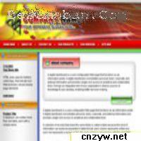 商業網站 商業網站