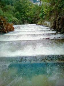 田陽縣五村鄉 田陽縣五村鄉