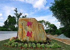 高州柳村 高州柳村