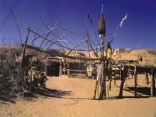 尼雅遺址 尼雅遺址