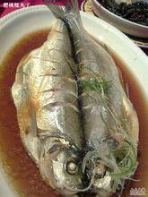 清蒸白水魚