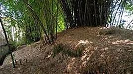 大埔城[廣東省普寧市縣治遺址]