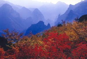 太行秋色園 太行秋色園