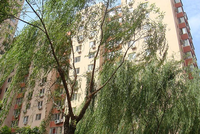 環衛家園 環衛家園