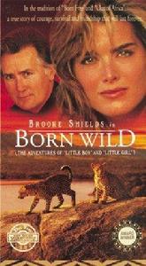 非洲獵豹 非洲獵豹