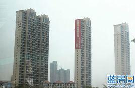 新景舜弘 新景舜弘