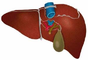 暴發性肝功能衰竭