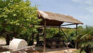 禾泉農莊 禾泉農莊