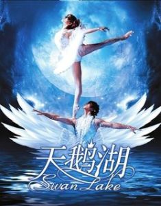 天鵝湖芭蕾舞 天鵝湖芭蕾舞