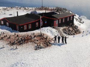 企鵝郵局 企鵝郵局