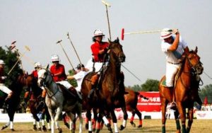 陽光時代馬球俱樂部 陽光時代馬球俱樂部