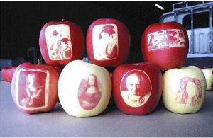 日本繪圖蘋果 日本繪圖蘋果