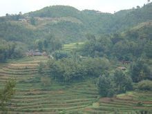 腦包自然村 腦包自然村