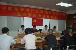 東莞市東城社保局 東莞市東城社保局