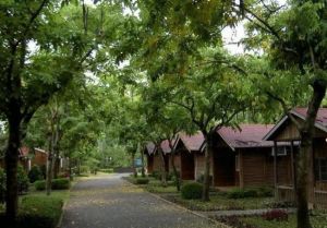 泰雅渡假村 泰雅渡假村