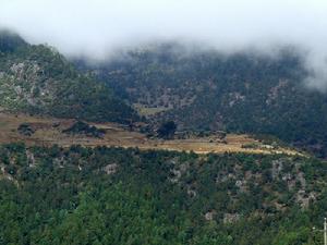 尖山營自然村 尖山營自然村