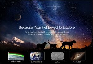 太空寵物葬禮 太空寵物葬禮