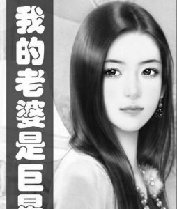我的老婆是巨星
