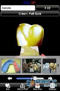 牙齒常識 牙齒常識