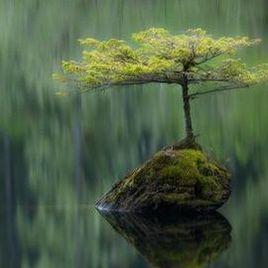 一念一清靜 一念一清靜