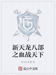 新天龍八部之血戰天下 新天龍八部之血戰天下