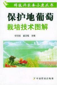 保護地葡萄栽培技術圖解 保護地葡萄栽培技術圖解