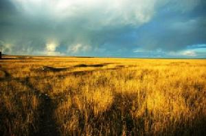 青海青海湖國家級自然保護區