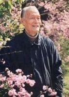 紡棉花[劇作家駱文創作的戲劇]