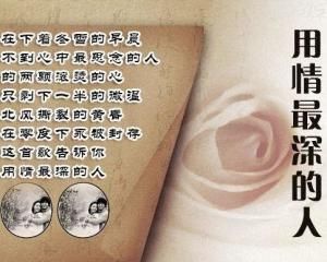 用情最深的人