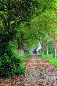 九江職業技術學校 九江職業技術學校