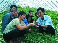 農業類型 農業類型