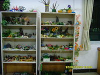 石獅三中沙盤遊戲治療室 石獅三中沙盤遊戲治療室