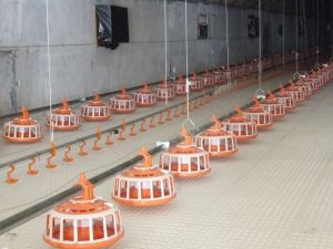 塞盤料線 塞盤料線