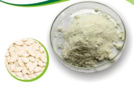 南瓜蛋白 南瓜蛋白