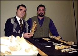 薩爾崔龍 薩爾崔龍