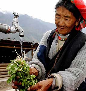 西藏民族區域自治政策