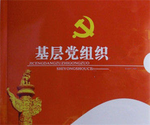 基層黨組織 基層黨組織