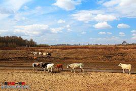 大庫倫鄉 大庫倫鄉