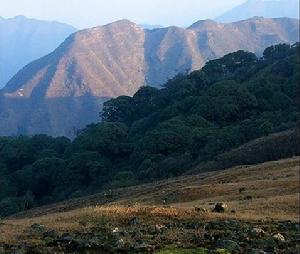 萬時山自然保護區 萬時山自然保護區