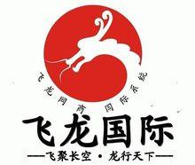 飛龍網商國際LOGO