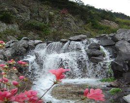 長塘桃花源生態旅遊區 長塘桃花源生態旅遊區
