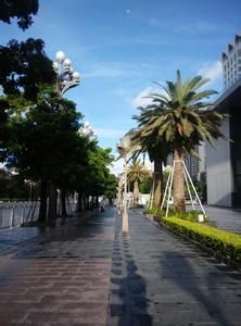 荔香公園 荔香公園