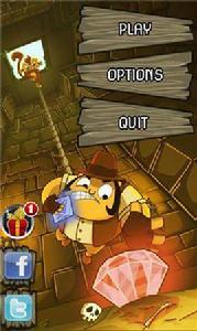 鑽石大盜賊 鑽石大盜賊