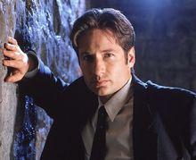 大衛&middot;杜楚尼