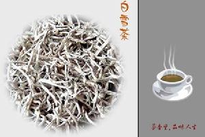 雪茶[地茶科植物]