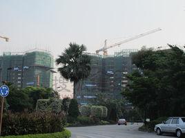 珊瑚天峰 珊瑚天峰