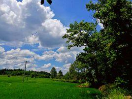 電山譚家 電山譚家