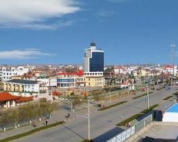 東辛農場 東辛農場