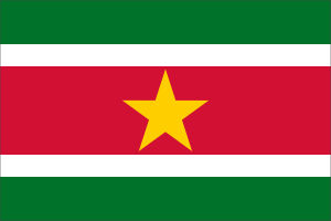 蘇利南國旗 蘇利南國旗