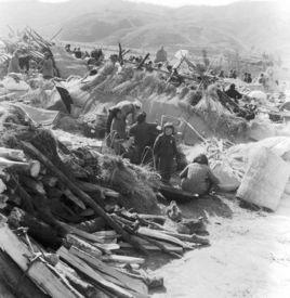 1·5通海地震 1·5通海地震